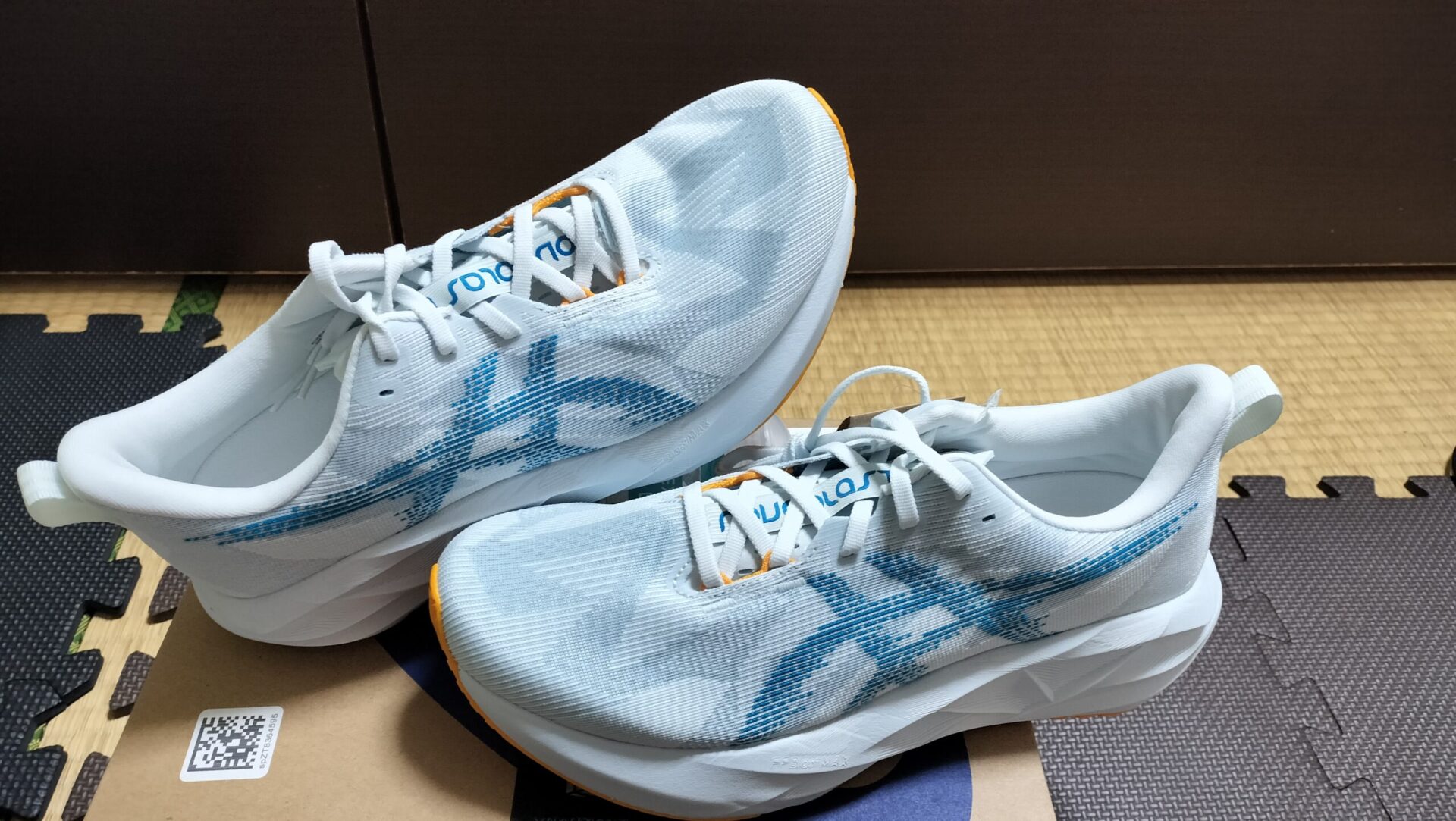 アシックス ノヴァブラスト5(実物)のペア全体